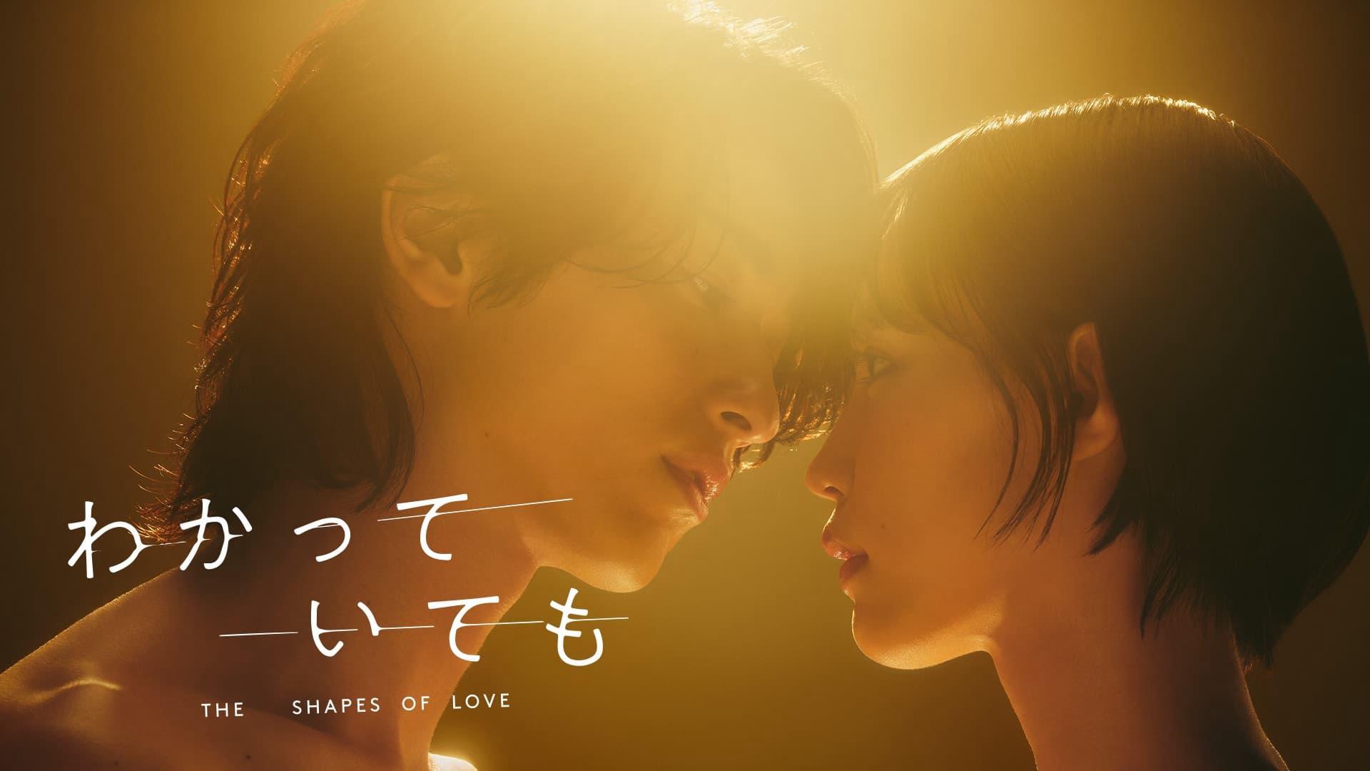 poster DẪU BIẾT DÁNG HÌNH TÌNH YÊU The Shapes of Love