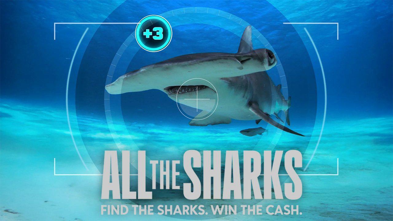 poster Đi tìm cá mập All the Sharks