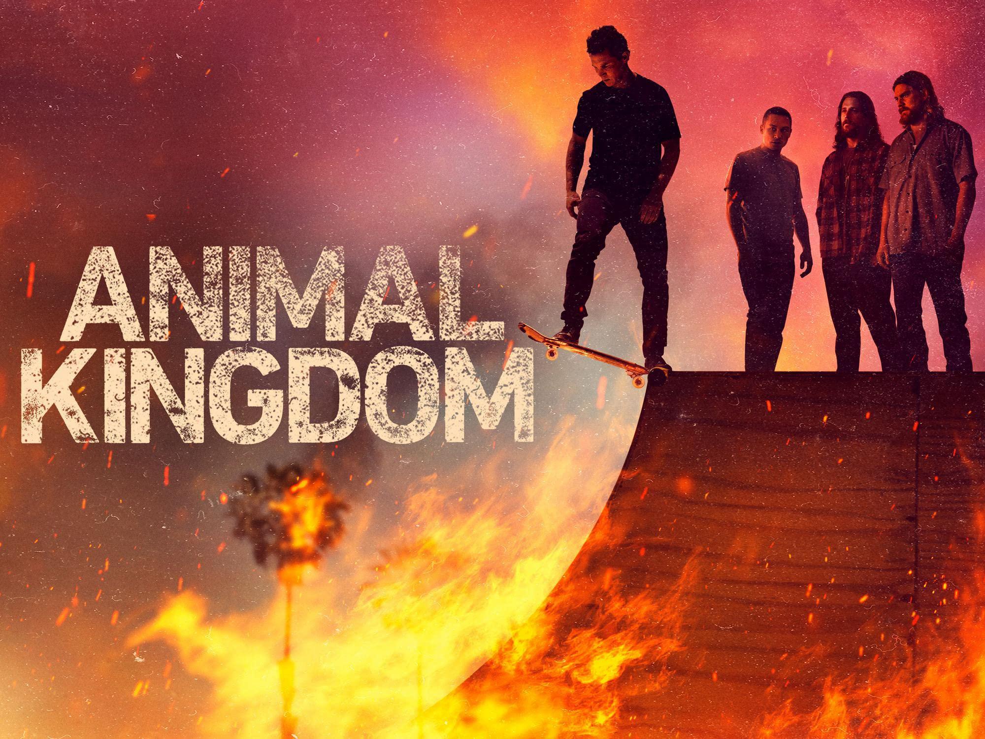 poster Vương quốc động vật (Phần 6) Animal Kingdom (Season 6)