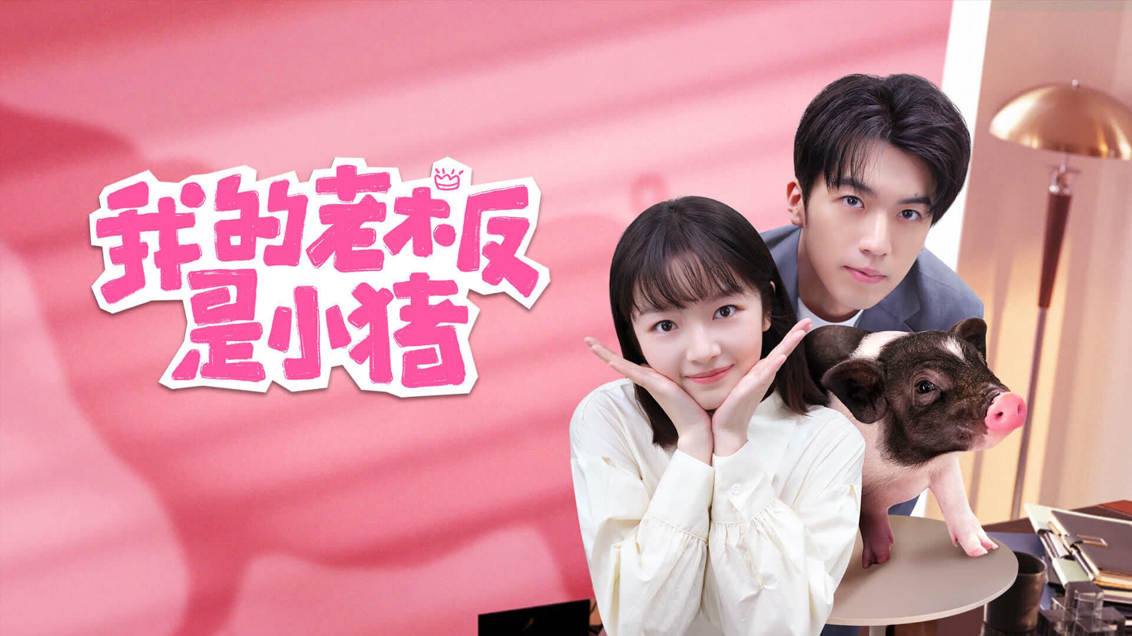 poster Sếp Của Tôi Là Chú Lợn Nhỏ My Piggy Boss